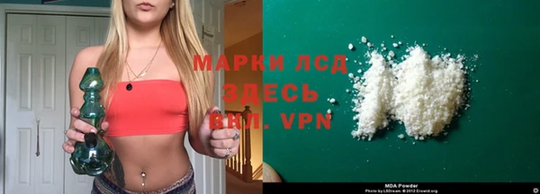 молекула духа Новозыбков