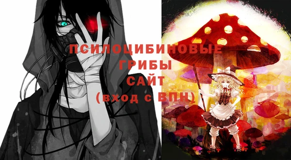 молекула духа Новозыбков