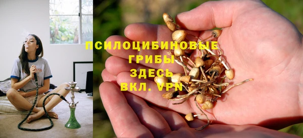 2c-b Алексеевка